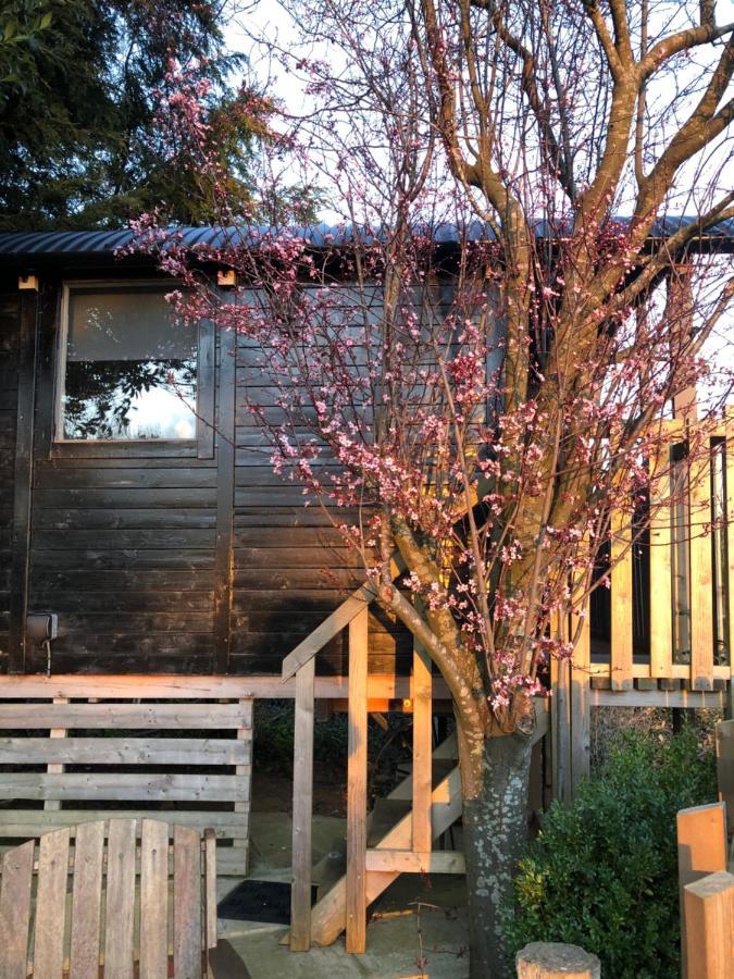 The Cherry Tree Gypsy Wagon Banbury Exteriér fotografie